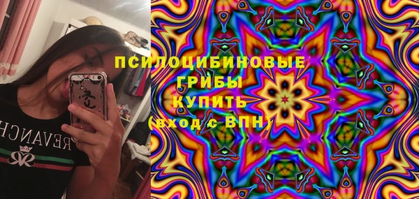 сатива Абаза
